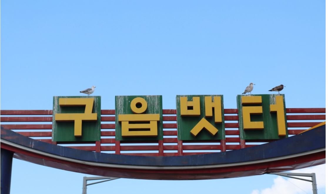 프로필 사진