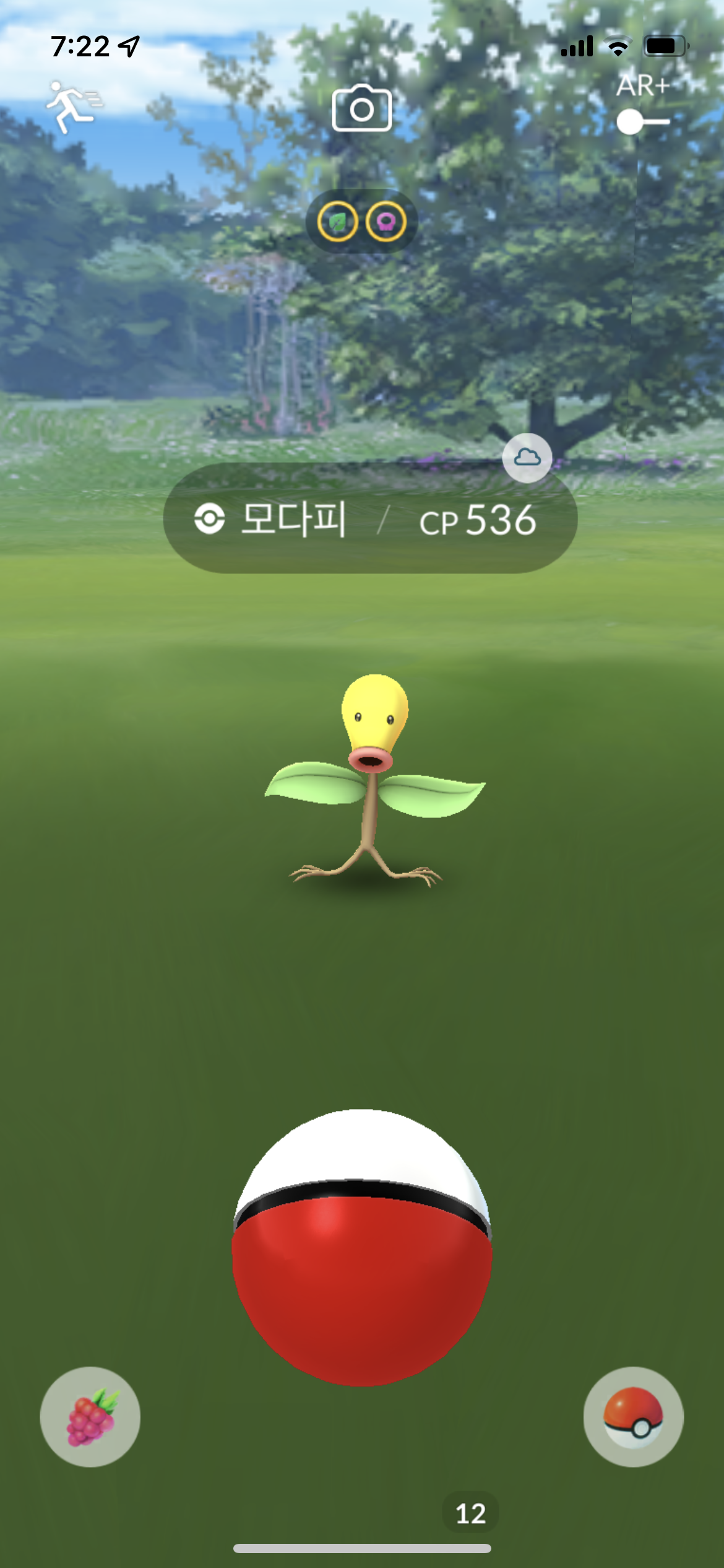 프로필 사진